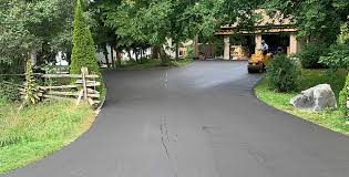 Best Driveway Pressure Washing  in Dianapolis, IN